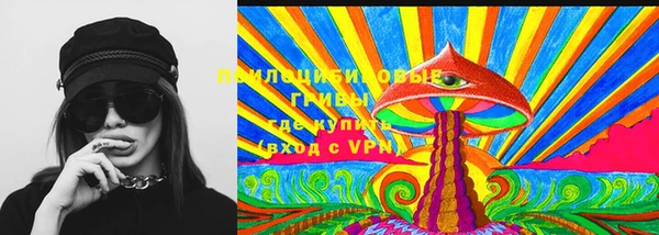 PSILOCYBIN Белоозёрский